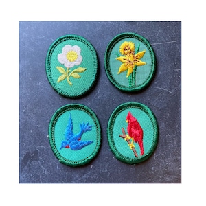1960s and 1970s Girl Scout Troop Crest Badges - Singles