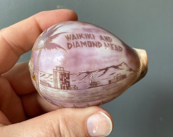 Vintage Carved Cowrie Shell -  Diamond Head Hawaii Souvenir