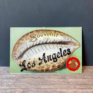 1909 Souvenir Postkarte - Muschel Postkarte - Los Angeles Souvenir