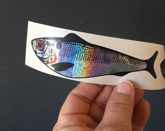 Set of 3 Metallic Rainbow Fish Stickers - Shad Stickers