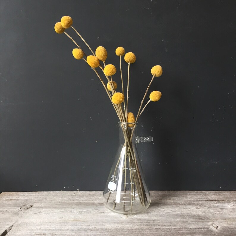 Vintage Pyrex Science Beaker with Gas Attachment Science Vase