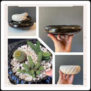 Vintage Low Cactus Dish - Vintage Ikebana