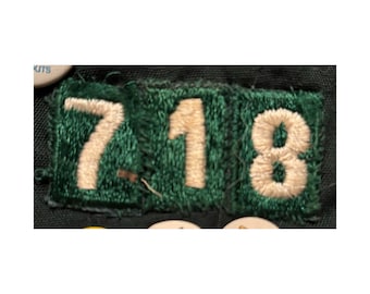 1964 Girl Scout Troop Number - Singles