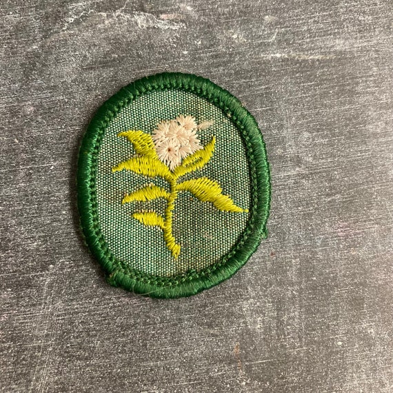 1960s and 1970s Girl Scout Troop Crest Badges Singl… Gem