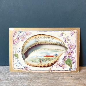 Carte postale souvenir de 1909 - Carte postale coquillage - Souvenir Bow Washington