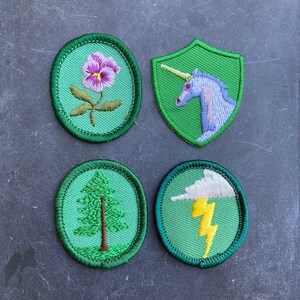 Puede incluir: Cuatro parches bordados con bordes verdes. Arriba a la izquierda, un óvalo con una flor de pensamiento morada. Arriba a la derecha, un escudo con una cabeza de unicornio azul claro. Abajo a la izquierda, un óvalo con un pino verde. Abajo a la derecha, un óvalo con una nube blanca y un rayo amarillo.