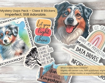 Mystery Imperfect Vinyl Sticker Pack: Class B