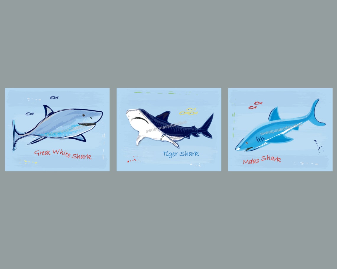 Shark bathroom art prints Bathroom Rules Decor Flush Brush Etsy