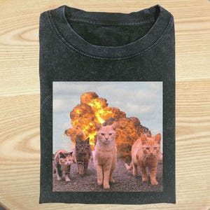 Funny Cat Shirt, Funny Cat Shirt, Cat Meme Shirt, Unhinged Cat Tee, Silly Cat Graphic Shirt, Weird Humor Unisex Shirt