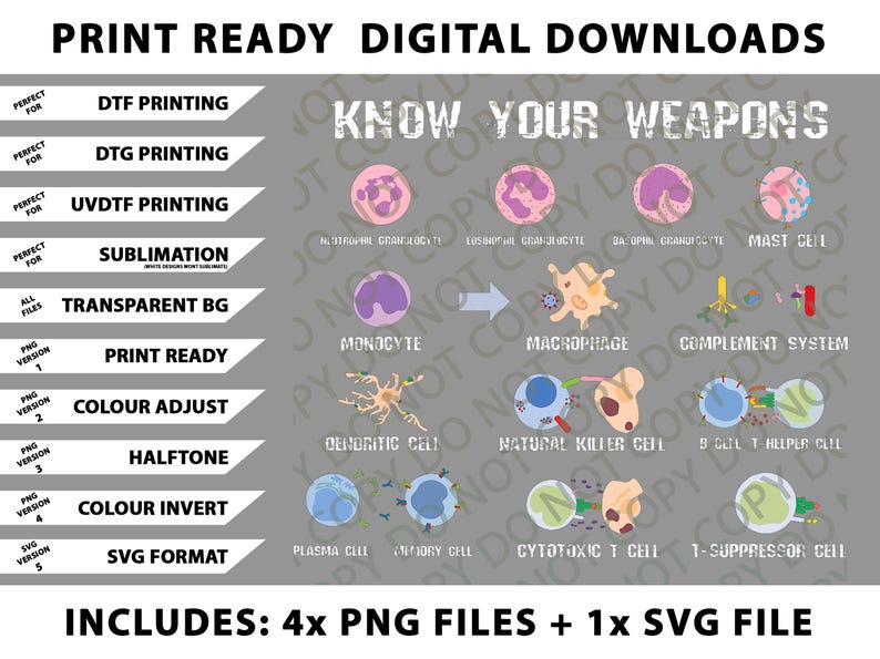 Biology Microbiology Virus Gene Enzyme Gift Idea Png Bundle, SVG Files ...