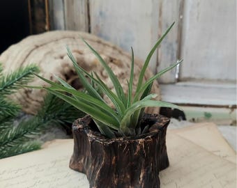 Vintage Empty Tree Stump Dish Kritter Hollows Air Plant Planter
