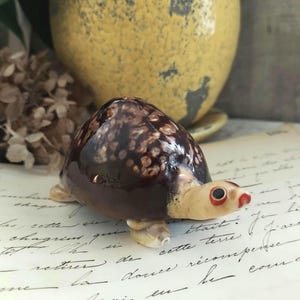May include: A small turtle figurine crafted from a polished seashell. The shell features a dark brown, mottled pattern with lighter tan spots. The head and limbs are a smooth, pale cream color with a distinct black eye and a small red mouth detail.