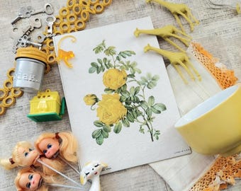 Vintage Junk Drawer Yellow Collections and Ephemera