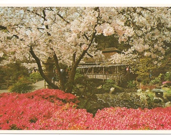 Vintage San Francisco Postcard-Unused-Japanese Tea Garden-Golden Gate Park-CableCar