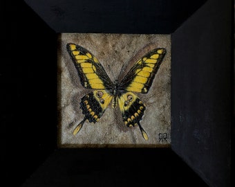 Petite peinture à l'huile réaliste de papillon encadrée, peinture cadeau encadrée. Miniature à l'huile d'un papillon dans un cadre