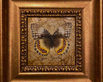 Petite peinture à l'huile de papillon réaliste dans un cadre, cadeau, peinture dans un cadre, peinture à l'huile de papillon réaliste dans un cadre, miniature