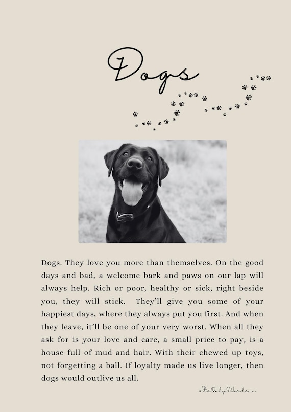 What Is A Dog Poem