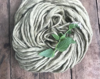 Catnip and Copper naturally dyed handspun yarn, 50 yards