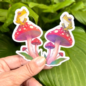 Cute Frog on a Toadstool Mushroom Vinyl Sticker, Holographic Options, Froggy Decal, Amphibian Lovers, Mushroom Lovers, Waterproof image 4