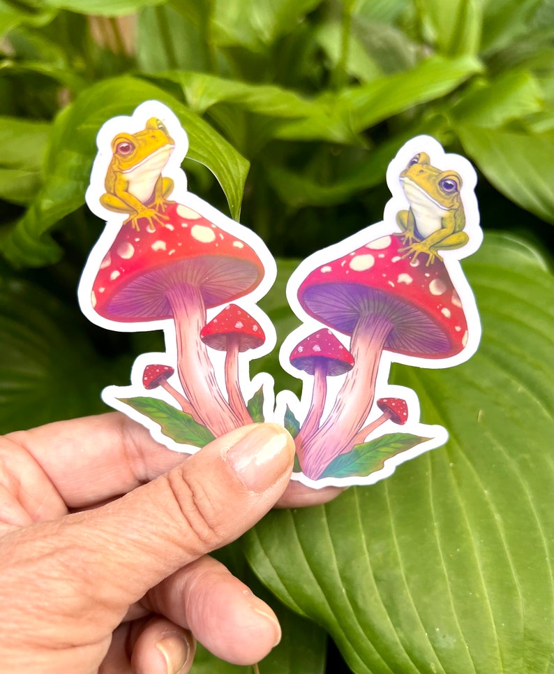 Cute Frog on a Toadstool Mushroom Vinyl Sticker, Holographic Options, Froggy Decal, Amphibian Lovers, Mushroom Lovers, Waterproof image 4