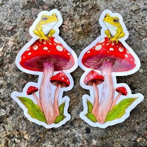 Cute Frog on a Toadstool Mushroom Vinyl Sticker, Holographic Options, Froggy Decal, Amphibian Lovers, Mushroom Lovers, Waterproof image 6