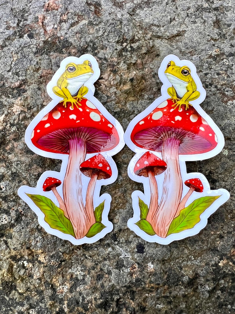 Cute Frog on a Toadstool Mushroom Vinyl Sticker, Holographic Options, Froggy Decal, Amphibian Lovers, Mushroom Lovers, Waterproof image 6