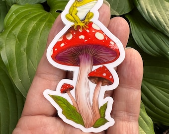 Cute Frog on a Toadstool Mushroom Vinyl Sticker, Holographic Options,  Froggy Decal, Amphibian Lovers, Mushroom Lovers, Waterproof