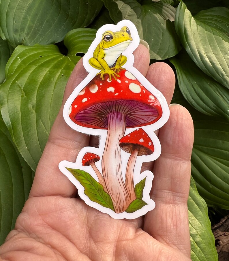 Cute Frog on a Toadstool Mushroom Vinyl Sticker, Holographic Options, Froggy Decal, Amphibian Lovers, Mushroom Lovers, Waterproof image 1