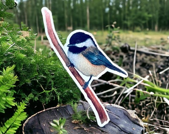 WIldlife Vibes: Watercolor Black Capped Chickadee on a Branch Sticker, Bird Lovers Gifts, Gifts Under 10