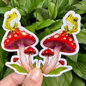 Cute Frog on a Toadstool Mushroom Vinyl Sticker, Holographic Options, Froggy Decal, Amphibian Lovers, Mushroom Lovers, Waterproof image 7