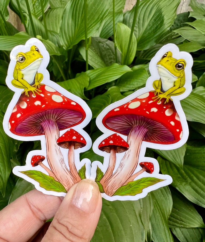 Cute Frog on a Toadstool Mushroom Vinyl Sticker, Holographic Options, Froggy Decal, Amphibian Lovers, Mushroom Lovers, Waterproof image 7