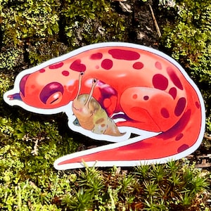Salamander and Slug Vinyl Sticker: Garden Lovers Decal