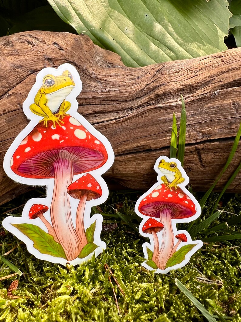 Cute Frog on a Toadstool Mushroom Vinyl Sticker, Holographic Options, Froggy Decal, Amphibian Lovers, Mushroom Lovers, Waterproof image 2