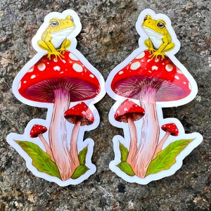 Cute Frog on a Toadstool Mushroom Vinyl Sticker, Holographic Options, Froggy Decal, Amphibian Lovers, Mushroom Lovers, Waterproof image 3