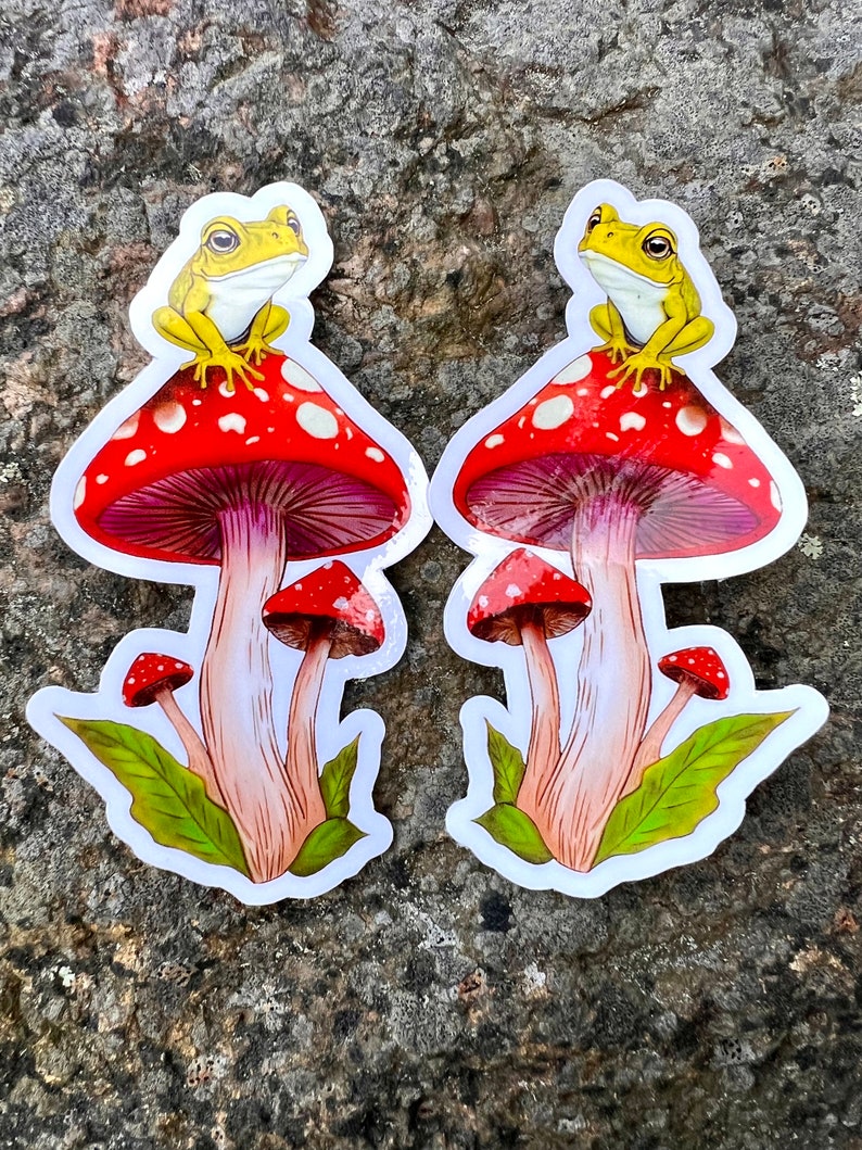 Cute Frog on a Toadstool Mushroom Vinyl Sticker, Holographic Options, Froggy Decal, Amphibian Lovers, Mushroom Lovers, Waterproof image 3