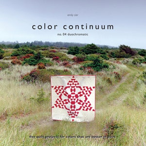 Color Continuum no. 04 duochromatic image 1
