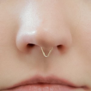 Può includere: Primo piano di un viso con un anello al naso dorato. L'anello è semplice, sottile e curvo.