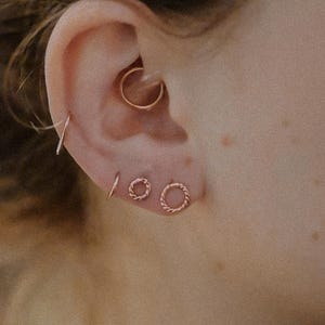 May include: A person's ear with multiple piercings. The ear is pierced in the helix, conch, and lobe. The piercings are adorned with small gold hoops and a larger gold hoop in the conch.