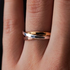 Pode incluir: Um anel de tr&ecirc;s bandas com acabamento prata, ouro rosa e ouro. O anel &eacute; usado em um dedo.