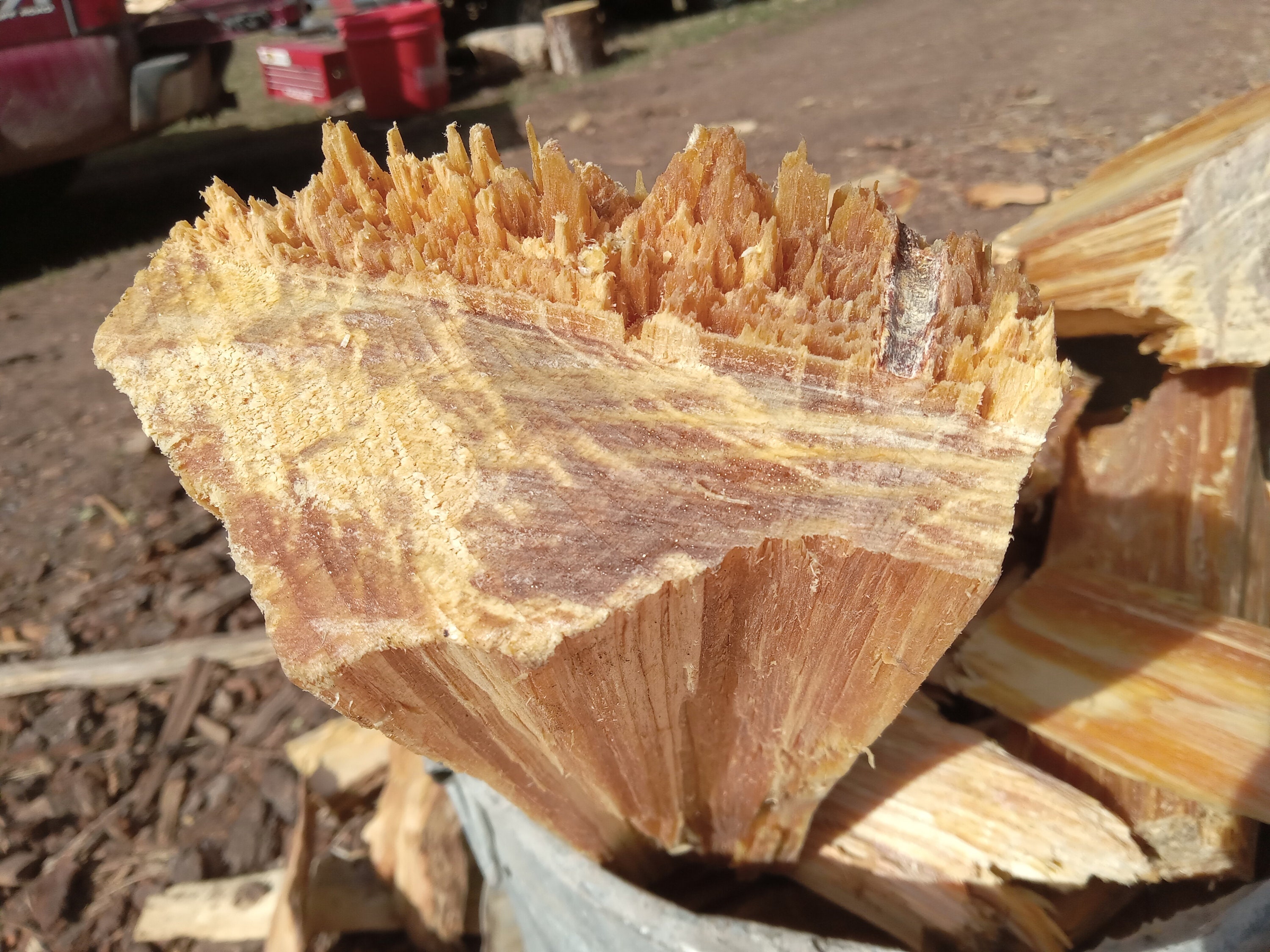 BULK Per Pound Fatwood Chunks, Slabs, and Pieces. 3 to 12 inches in size. Per pound.