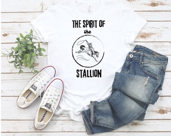 Cowboy TShirt,Rodeo Tee,Western Apparel, Lasso Fun, Perfect Gift for Cowboy, Country Lasso Fun, Cowgirl Top,uonic tshirt