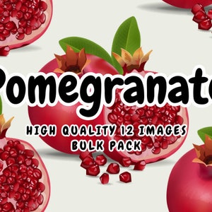 Pomegranate Watercolor Art - Pomegranate Fruit Bundle - 12 High Quality Images Bulk Pack - Instant Download