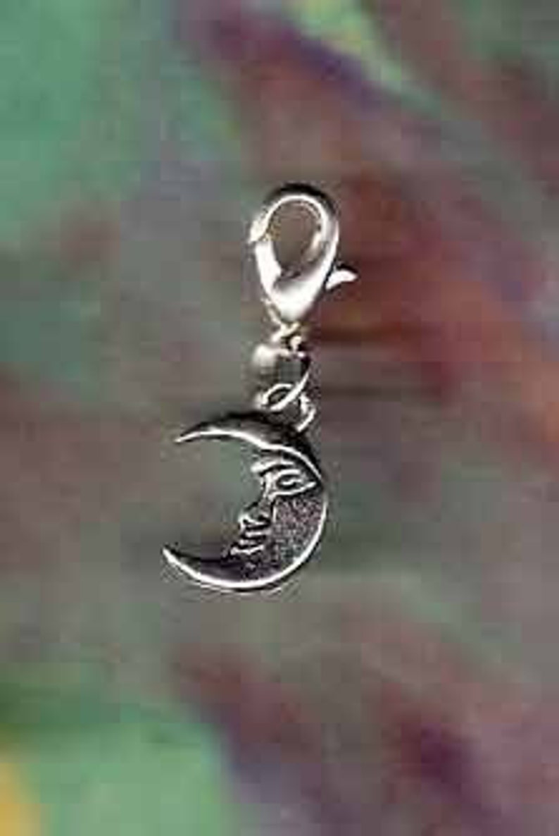 Silver Moon Charm Dog Cat Pet or Horse Jewelry Also Fits Sabo Style Jewelry SB-Cele02