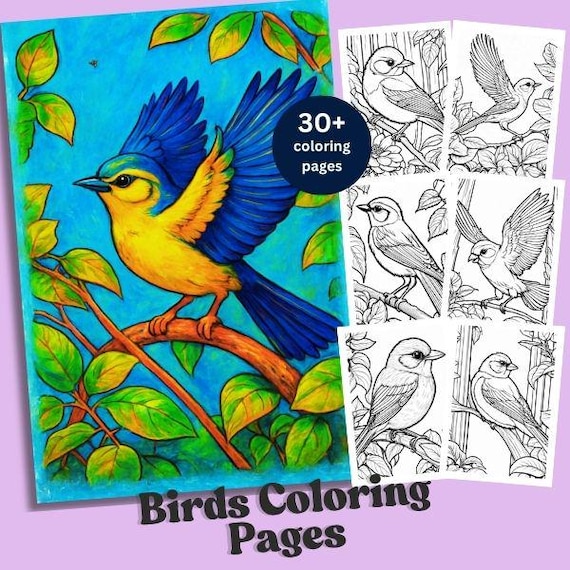 Bird Coloring Page Printable Book, Adult Coloring Birds for Relaxation and Creativity, Gift for Bird Lovers