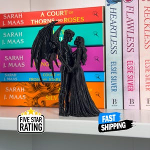 Herr der Nacht Hofe Fae Lovers Bücherecke | Romantische Fantasie Regal Dekor | Bücherwurm Booktok Geschenk
