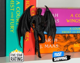 ACOTAR Coin livre de la cour du seigneur de la nuit | Serre-livres Rhysand Bookish Gift Booktok