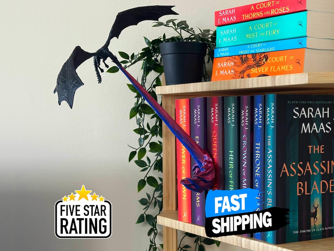 Coin livre Dragon avec flamme : décoration d'étagère fantastique, quatrième aile