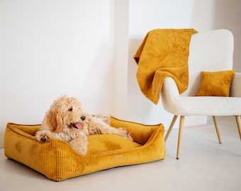 Op de afbeelding: Een goudgele corduroy hondenbed met een hond die erop ligt. De hond is lichtbruin en wit en heeft zijn tong uitgestoken. Het hondenbed staat voor een witte stoel met een goudgele deken en kussen.