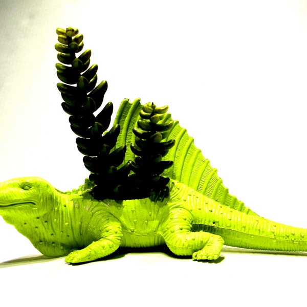 Green dinosaur planter Ready to Plant and Display at Work or Home Great