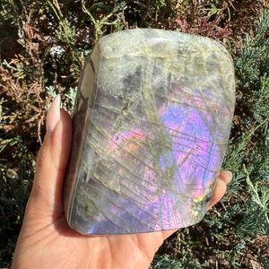 Labradorite Freeform with Purple Pink Flash